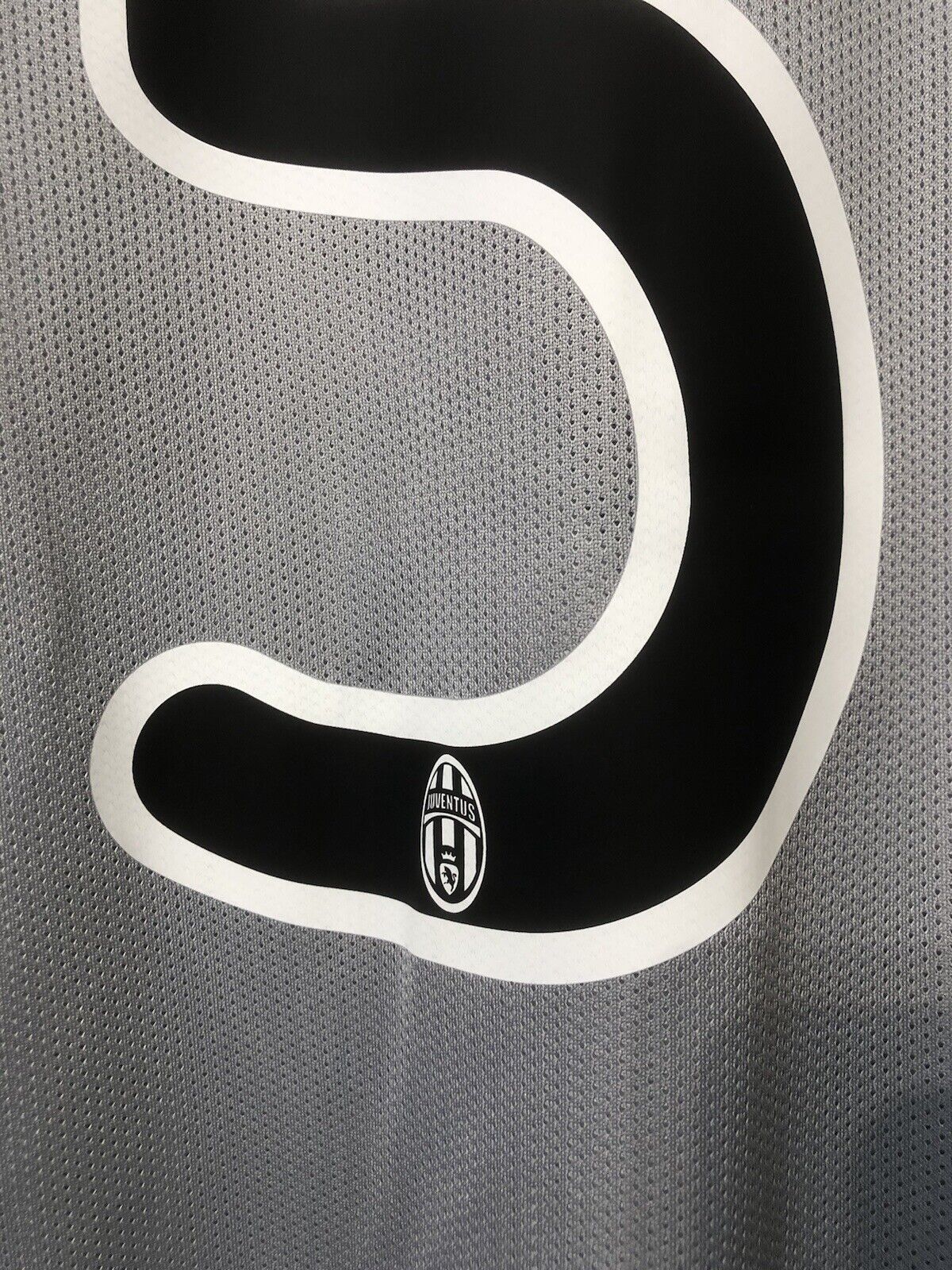 Cannavaro #5 Juventus 2009/10 BNWT XL Away Printed Wash Tag Player Issue
