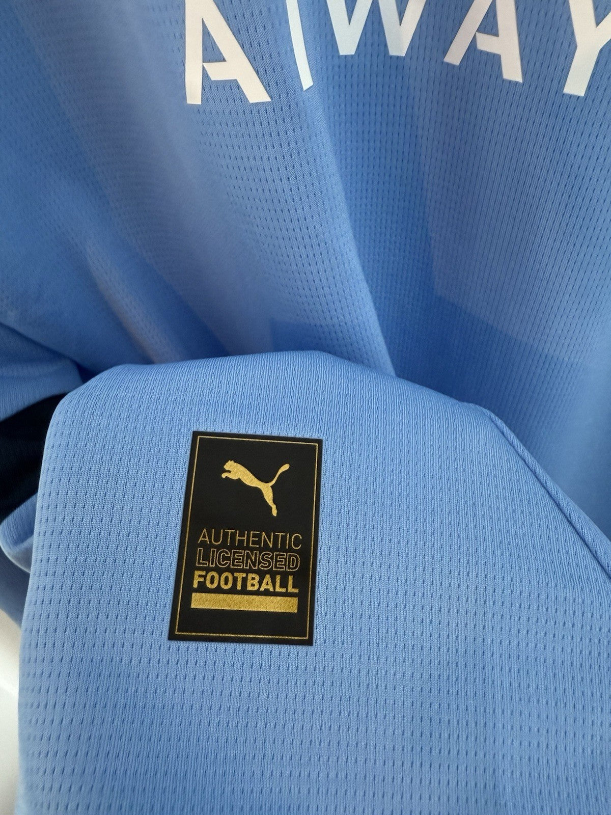 Manchester City Haaland #9 2024/25 Large LS Home BNWT 775076-01