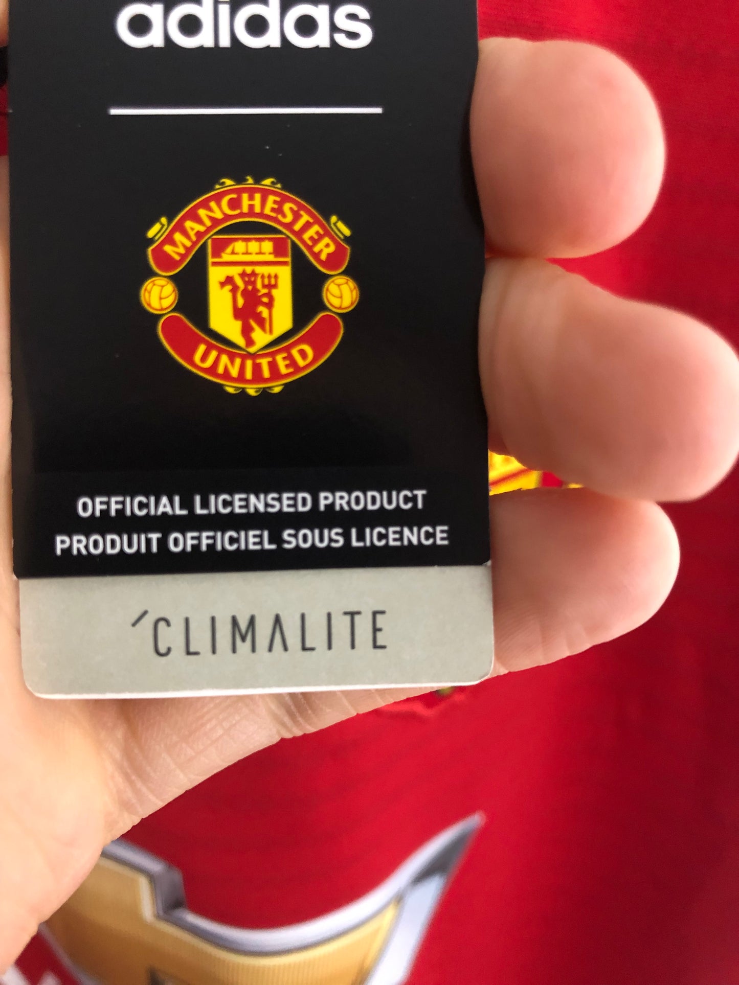 Rashford #10 Man United Large 2018/19 Home Shirt BNWT Cg0040