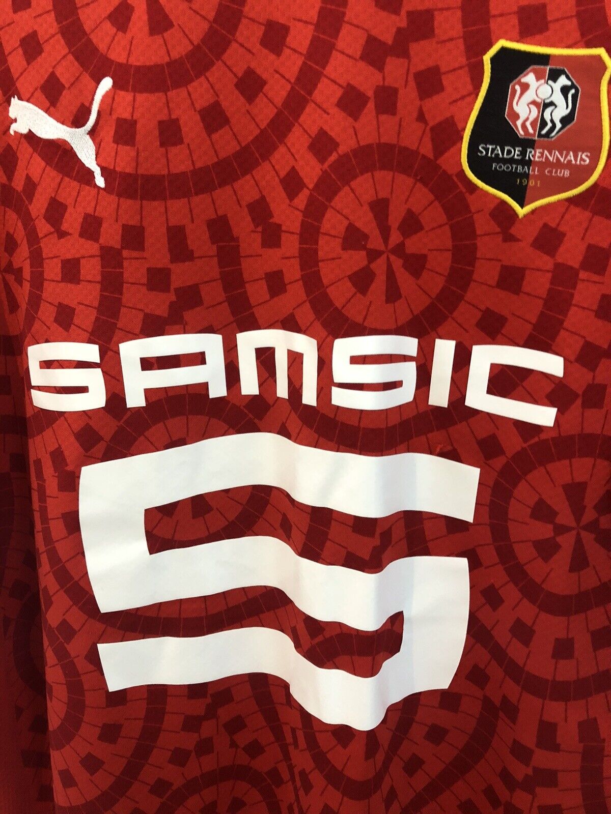 Stade Rennais 2020/21 Small Home Shirt Puma Excellent Condition 757083 01