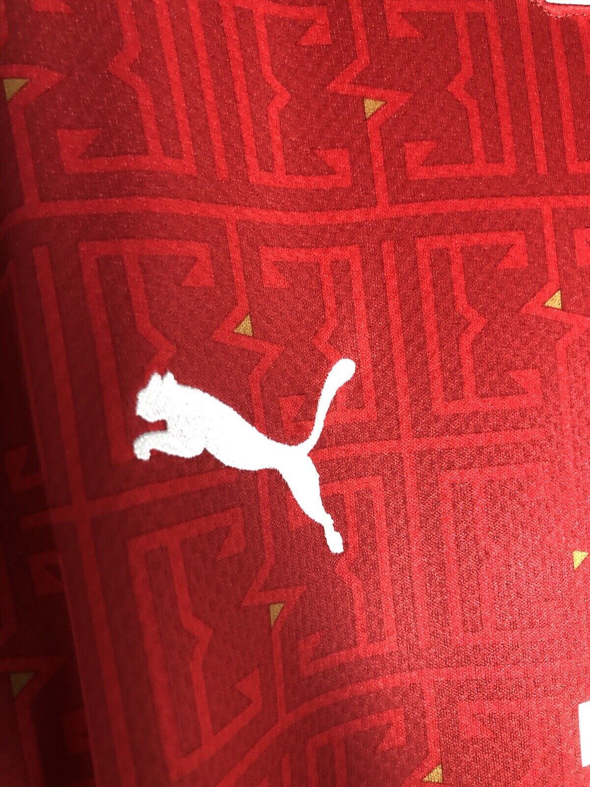 Vlahovic 18 Serbia 2020 21 Large Home Shirt Puma Excellent Condition 756515 01