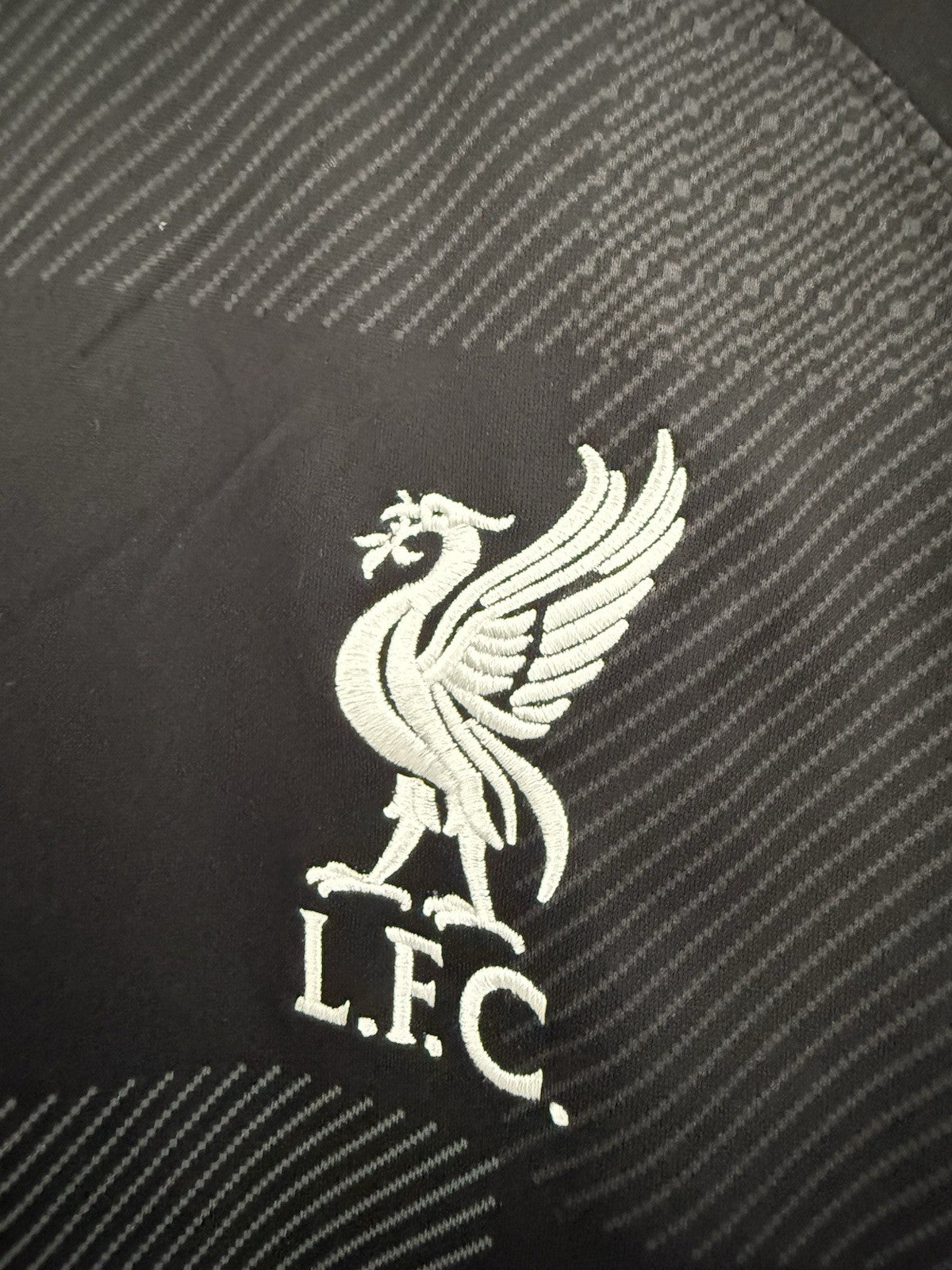 Liverpool A. Becker #1 2021/22 Medium 3rd GK Excellent Condition DB2559-011