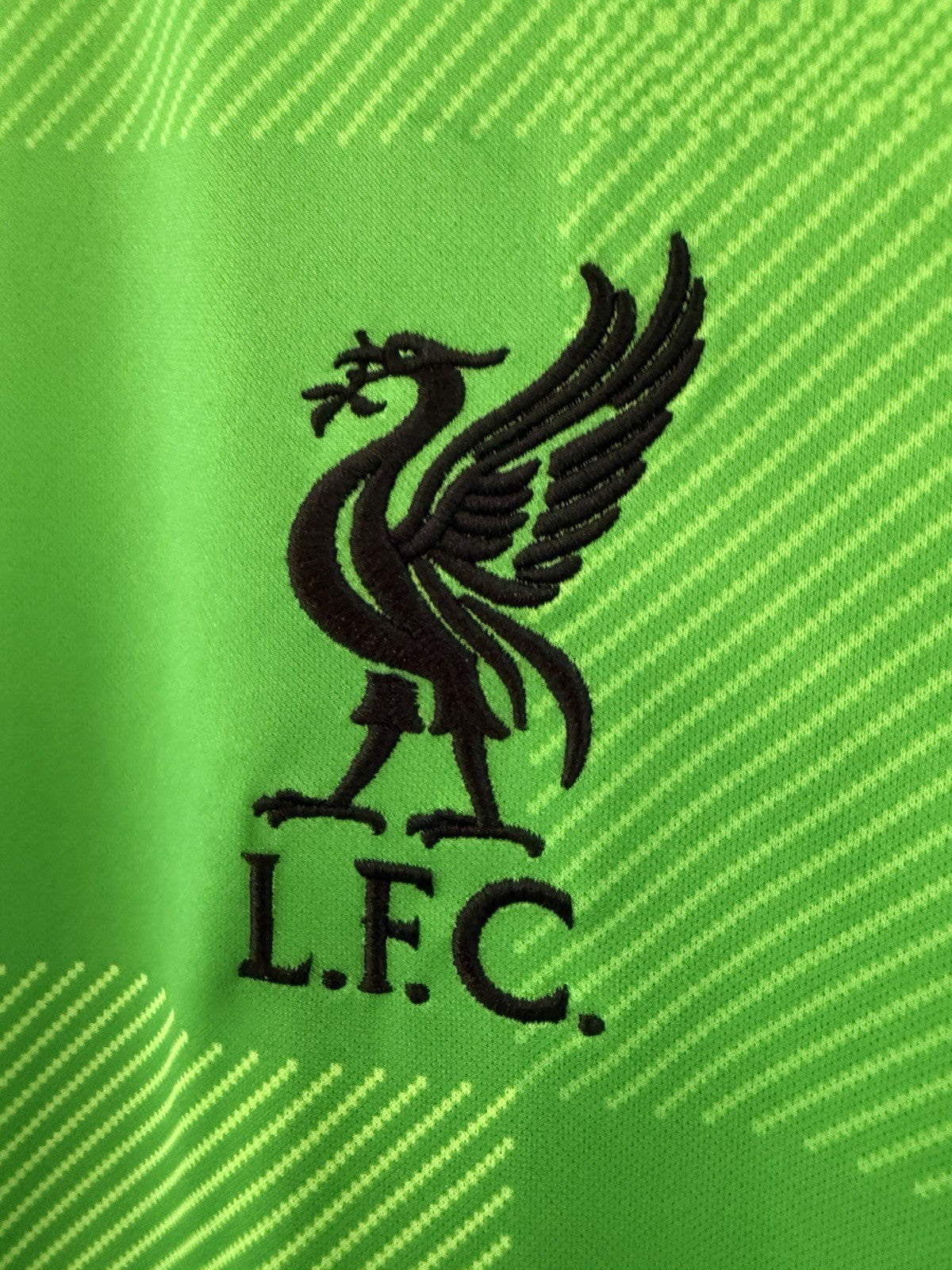 Liverpool A. Becker #1 2021/22 Large Home GK Shirt Nike BNWT DB2559-330