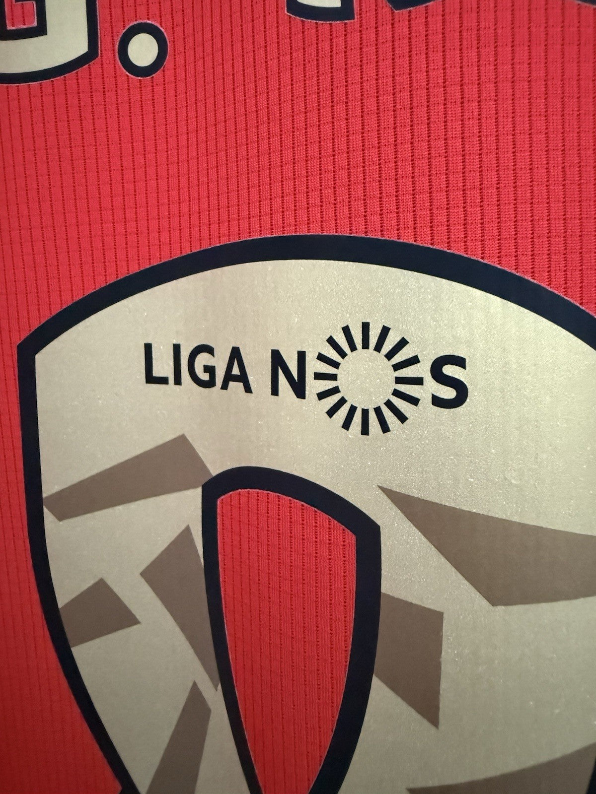 Benfica G. Ramos #88 2020/21 Medium Home Shirt Excellent Condition GJ9537