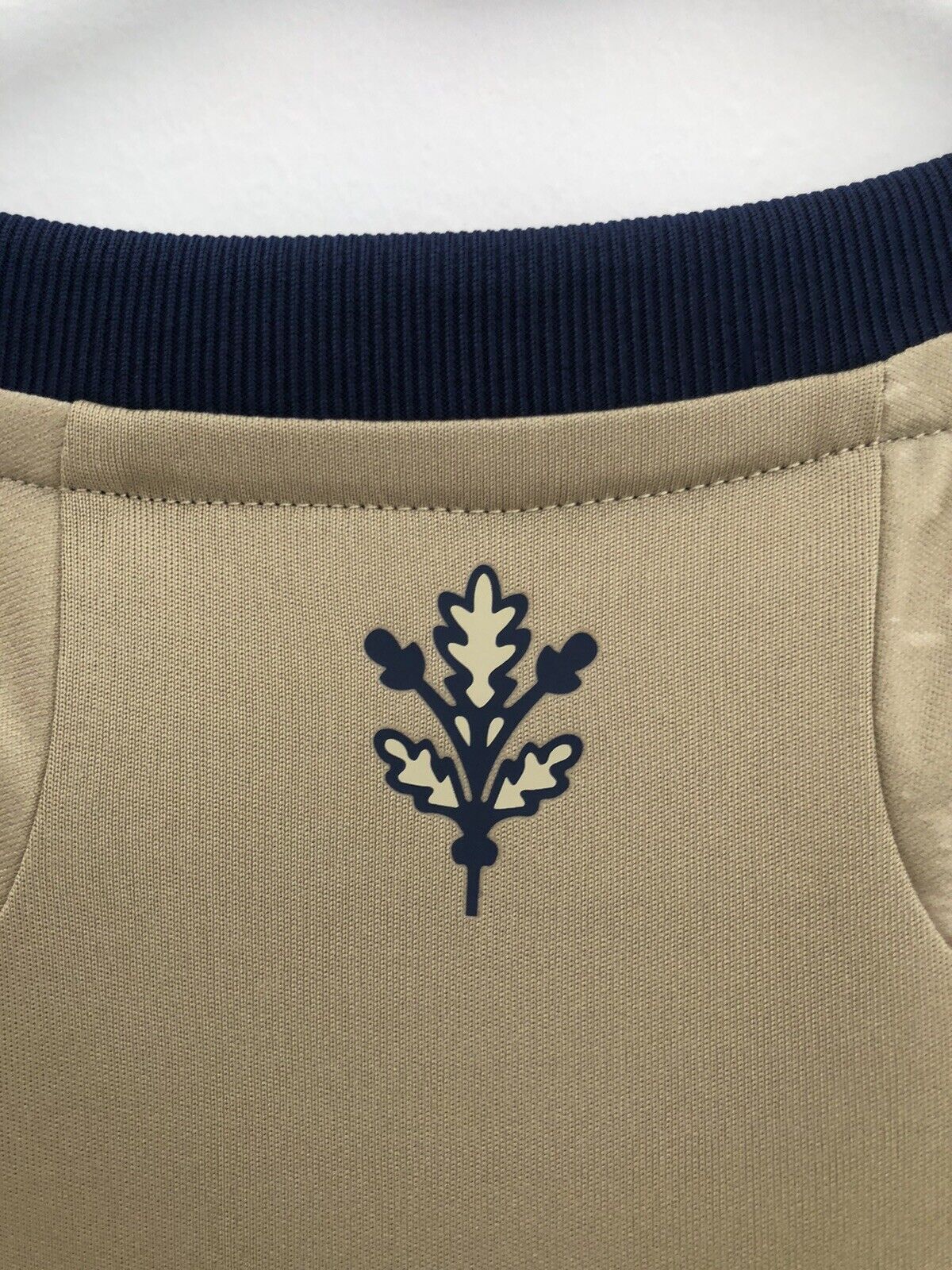 Ozil #67 Fenerbahce Away 2020/21 XL Away Shirt Adidas BNWT GD3757