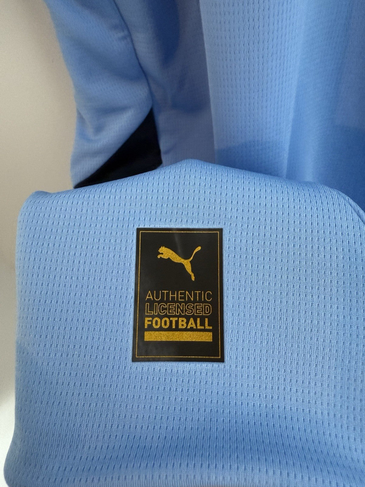 Manchester City Haaland #9 2024/25 Large Home BNWT 775075-01