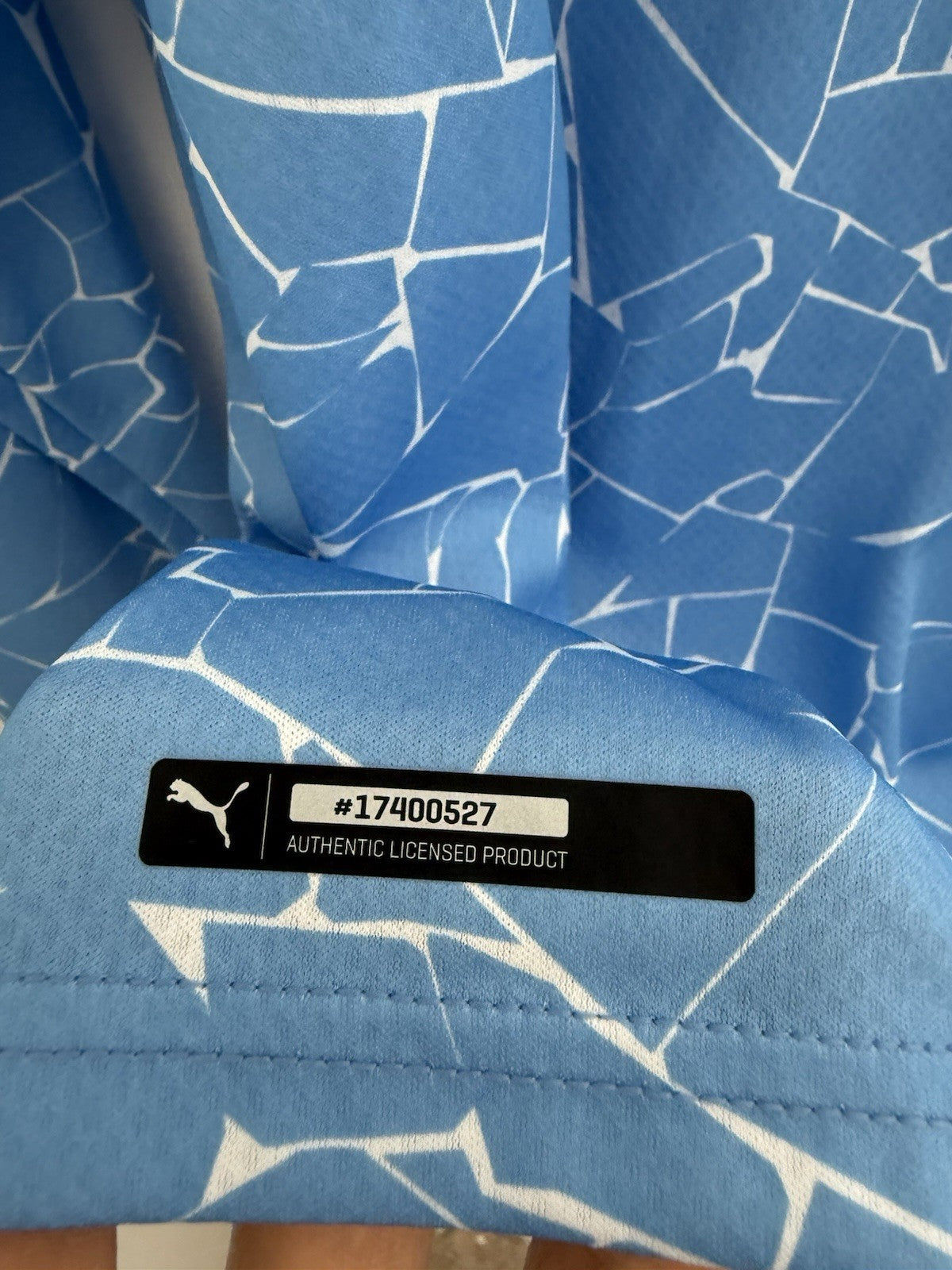 Manchester City Kun Aguero #10 2020/21 Large L/S Home Shirt BNWT 757059-01