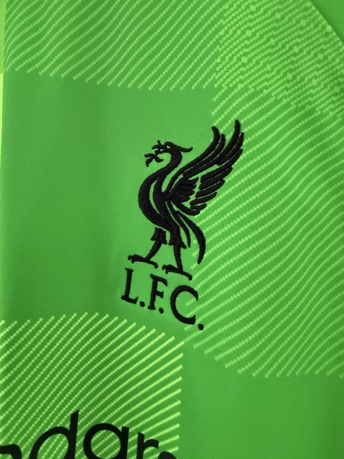 Liverpool A. Becker #1 2021/22 Large Home Goalkeeper Shirt Nike BNWT DB2559-330
