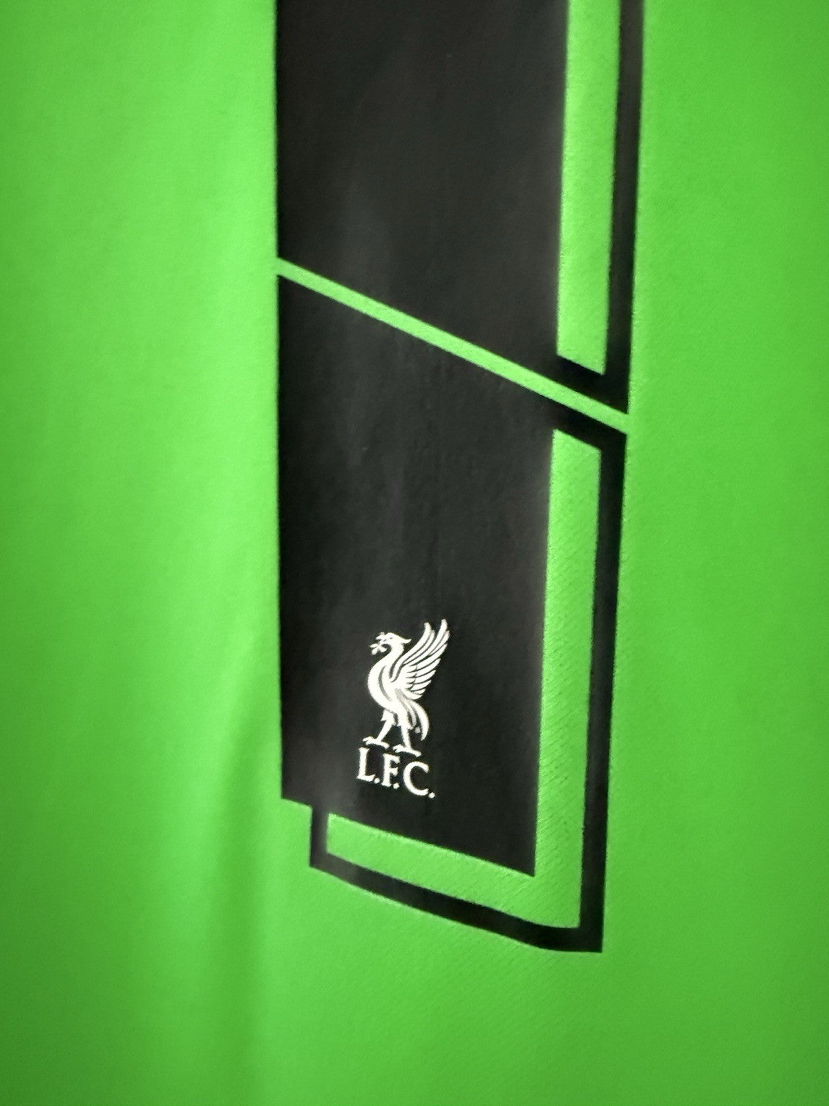 Liverpool A. Becker #1 2021/22 Large Home Goalkeeper Shirt Nike BNWT DB2559-330