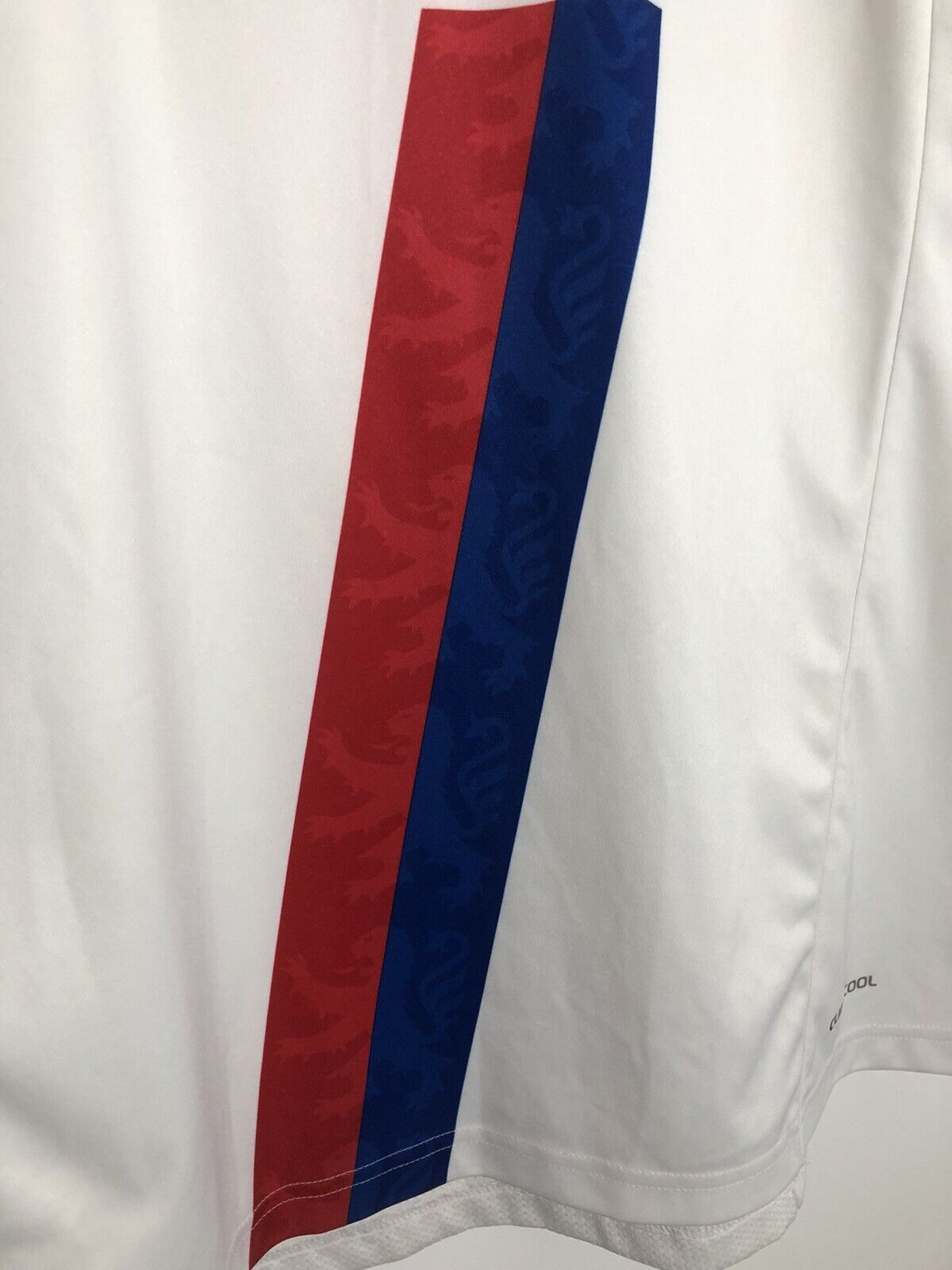 Olympique Lyonnais 2010 11 Xl Home Shirt Adidas Excellent Condition P00333