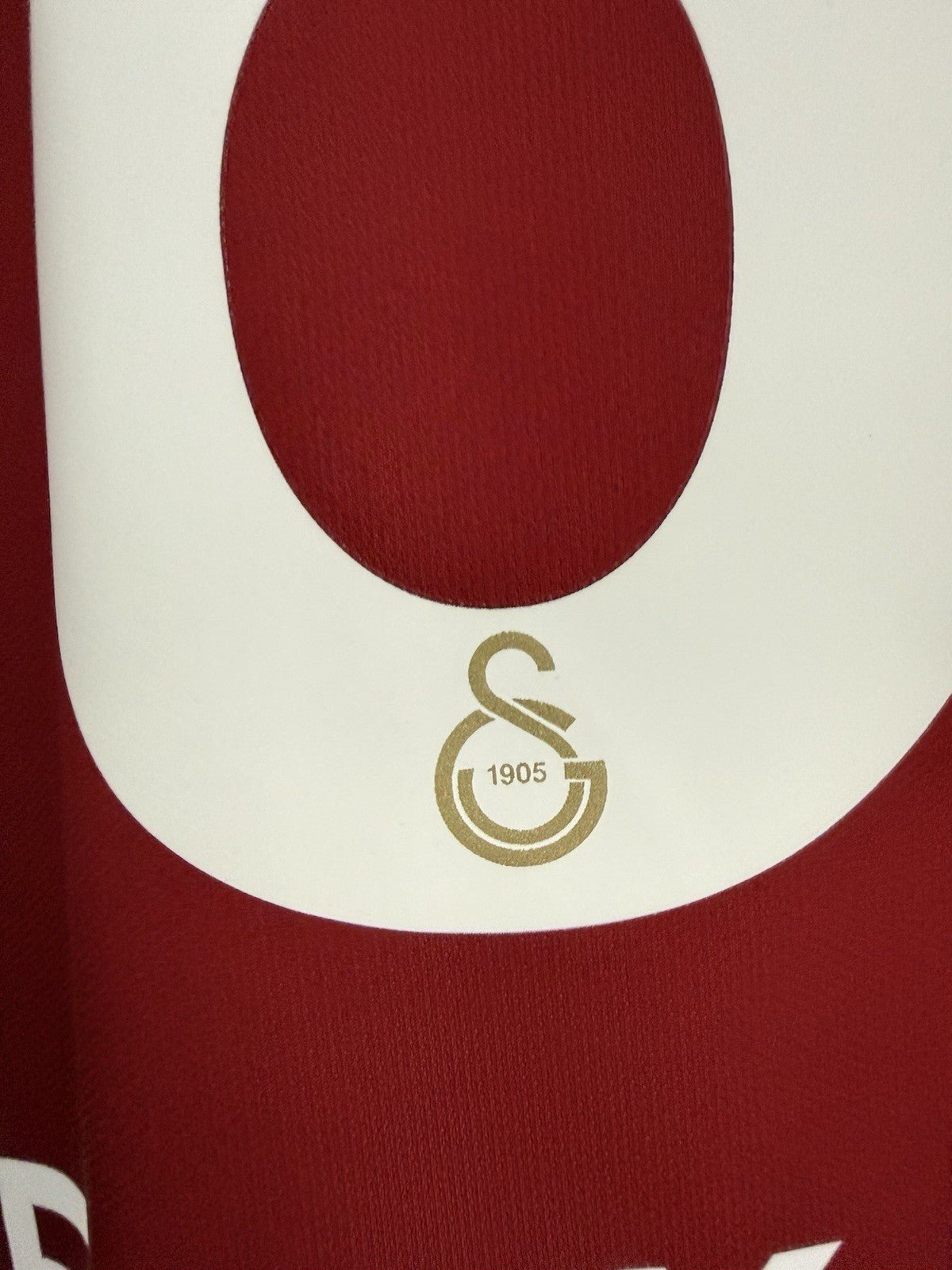 Galatasaray Selcuk Inan #8 2019/20 Large Home Shirt Nike BNWT AJ5537-628