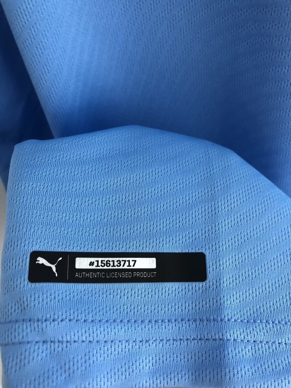 Manchester City Silva #21 2019/20 Small Home Shirt BNWT 755586-01