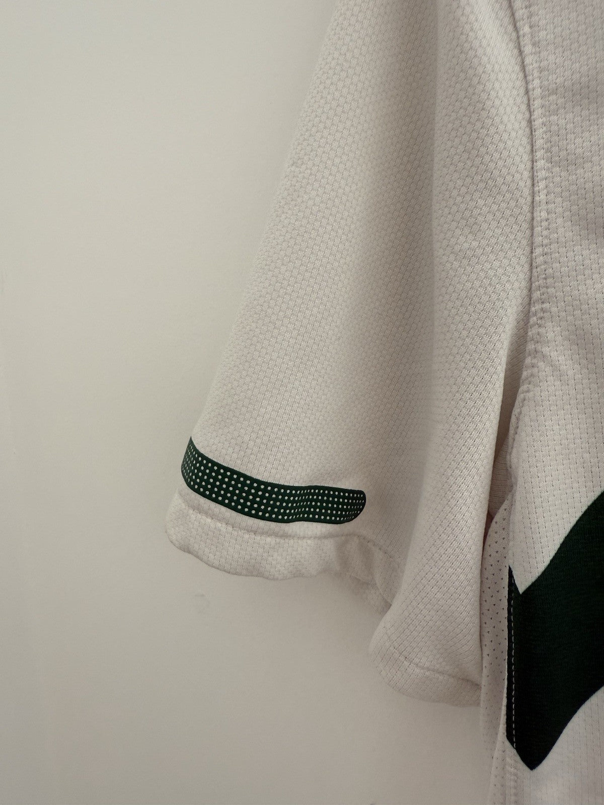 Slovenia 2010 Medium Home Shirt Nike Excellent Condition 363044-105