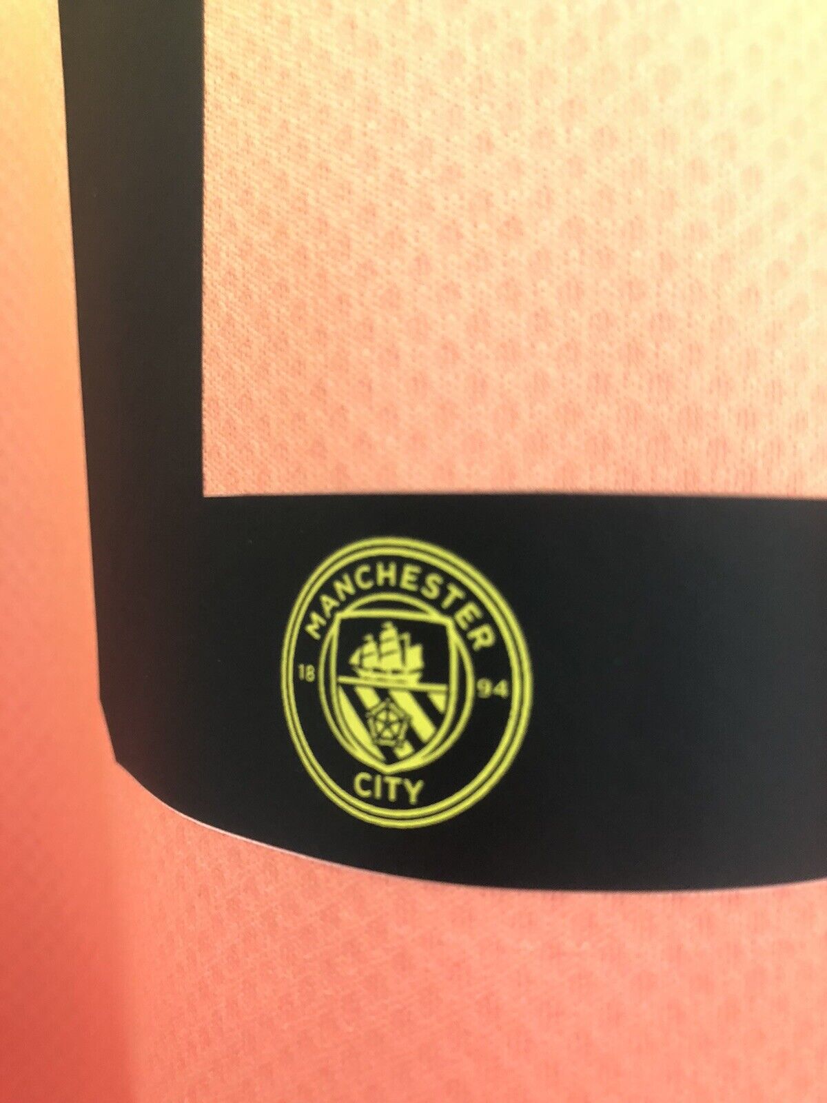 Silva 21 Manchester City 2019 20 Medium 3rd Excellent Condition 755594 03