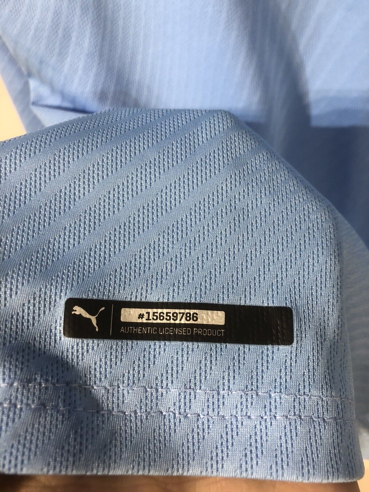 G. Jesus #9 Manchester City 2019/20 Small L/S Home Shirt Puma Excellent Conditio