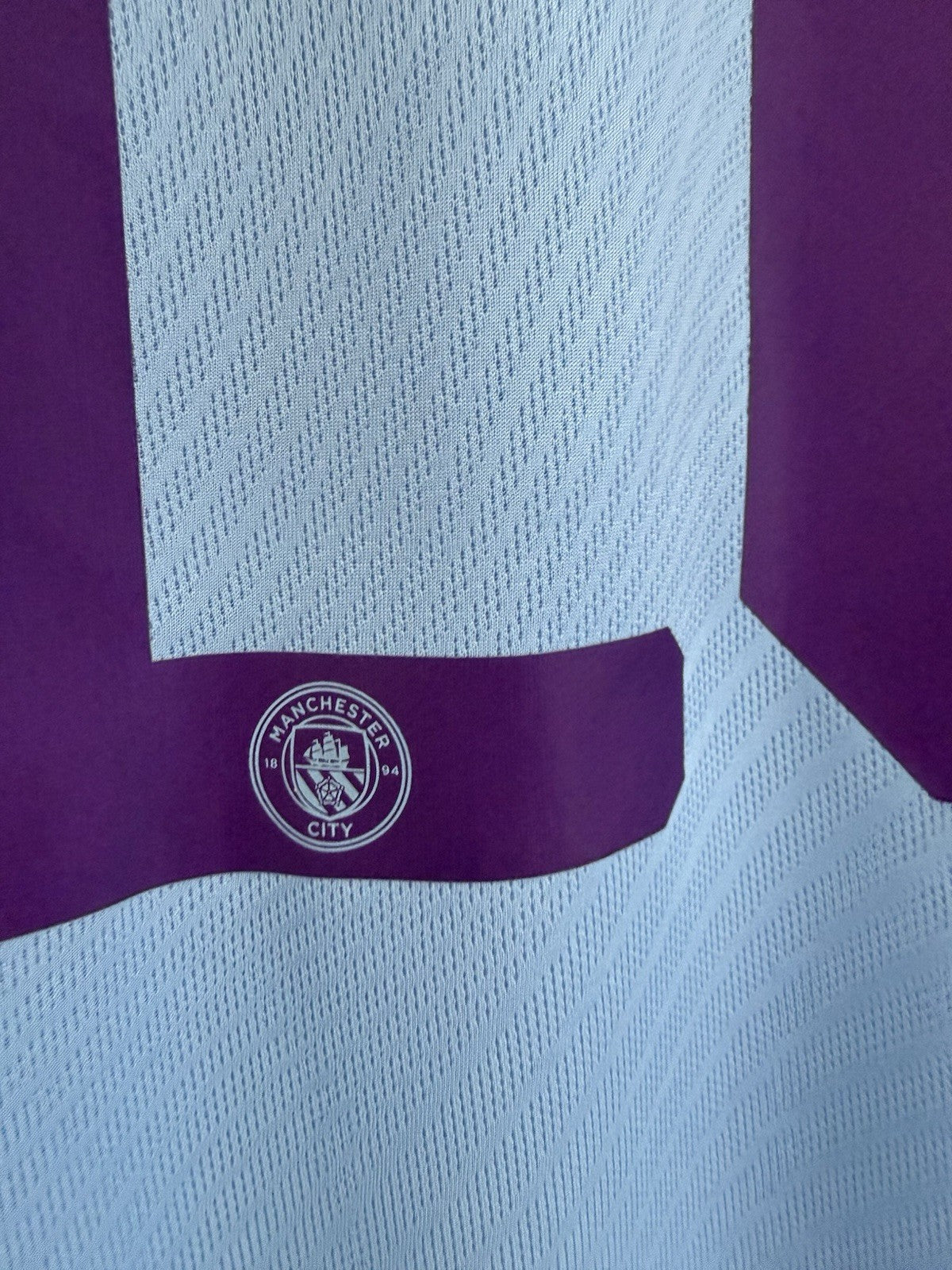 Manchester City Bernardo #20 2019/20 Large Home Shirt Puma BNWT 755586-01