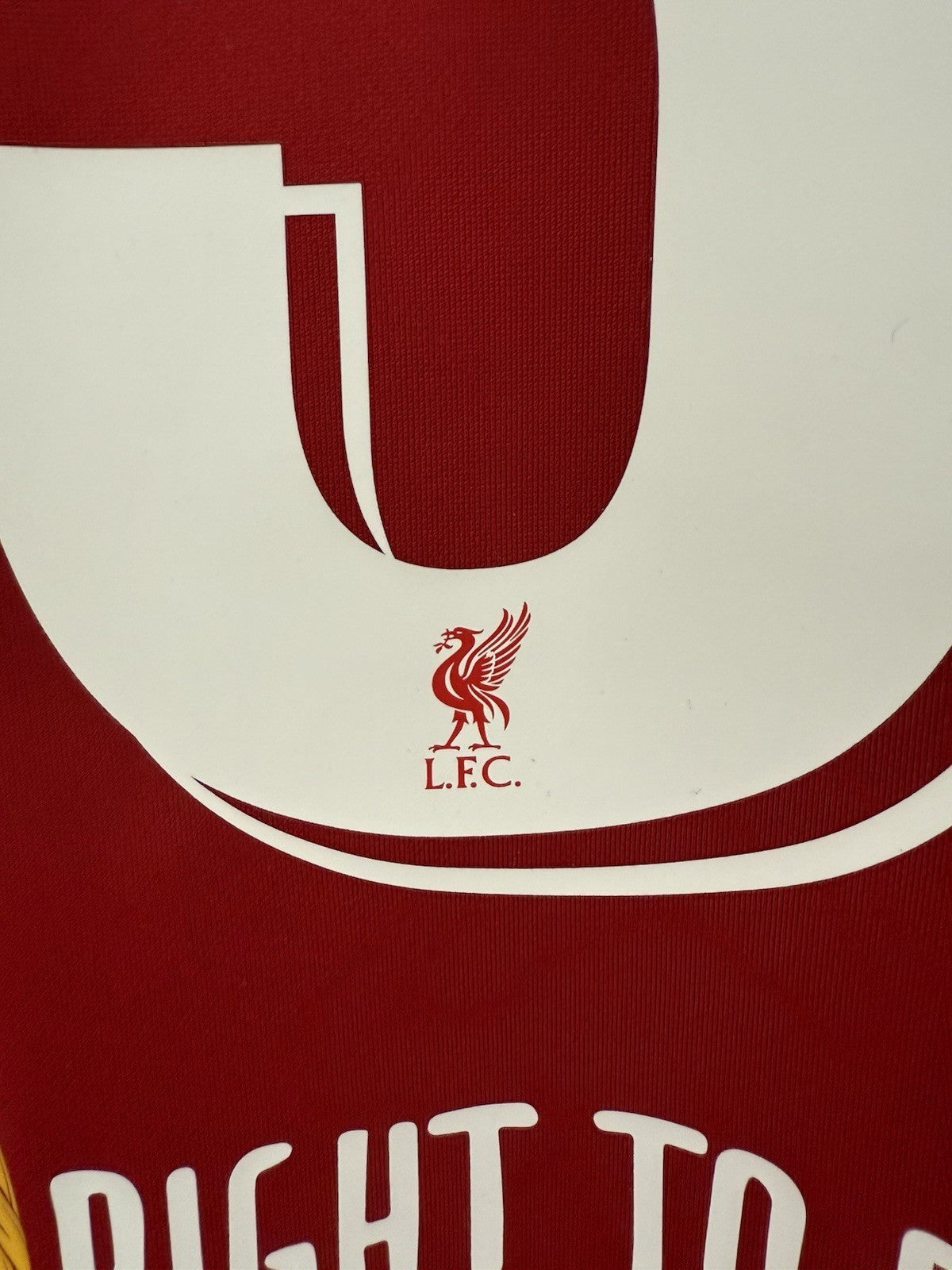 Liverpool Fabinho #3 2020/21 Small Home Shirt Nike BNWT CZ2636-687