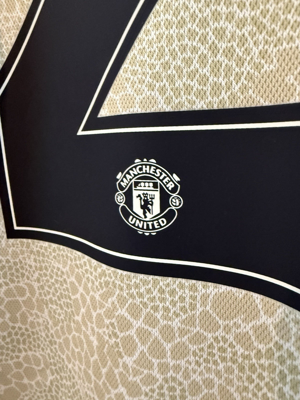 Manchester United Shaw #23 2019/20 Medium Away Shirt Excellent Condition ED7388